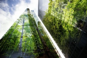 Outside of an office building with tree reflected in the glass windows